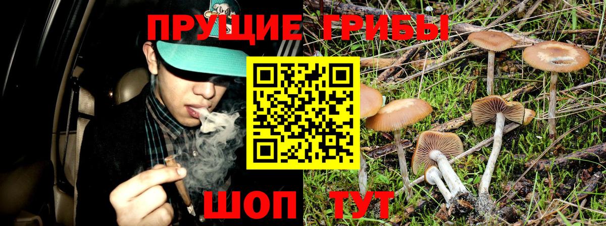 Галлюциногенные грибы GOLDEN TEACHER Кудымкар